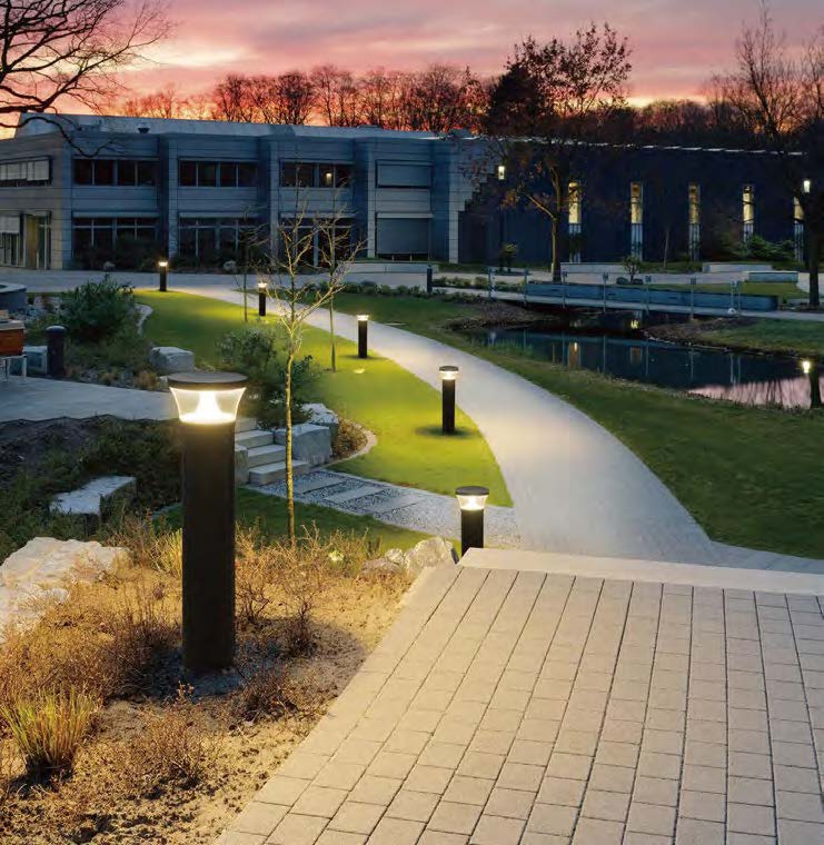 Bollards illuminating a curved walkway