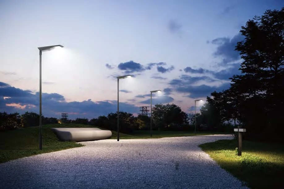 Pathway lighting illuminating a landscaped route at dusk
